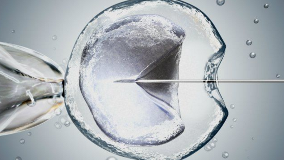 泰国ABC生殖中心做试管婴儿费用是多少?2024年泰国ABC医院医院收费一览