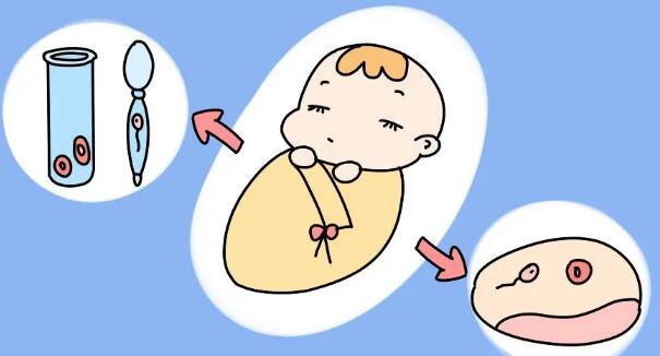 试管婴儿可以报销医保吗(附试管流程费用明细介绍)